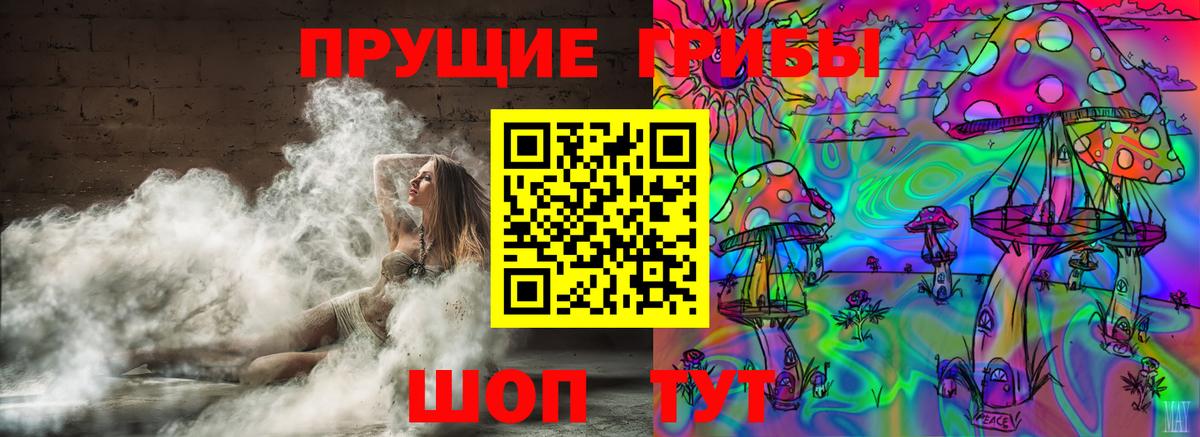 Псилоцибиновые грибы Psilocybe Мичуринск